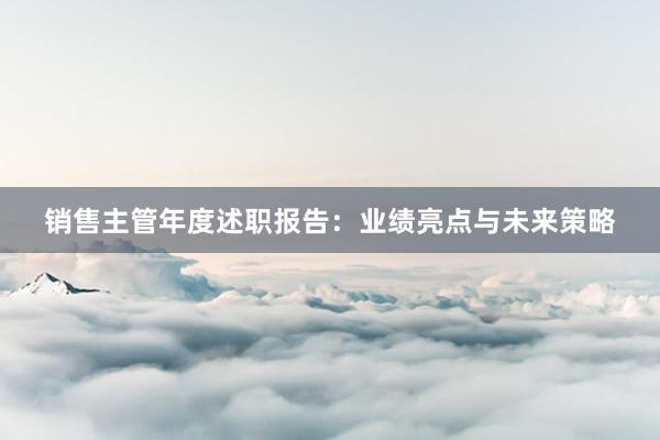 销售主管年度述职报告：业绩亮点与未来策略